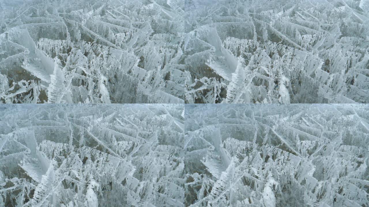 特写: 冰冻的亚伯拉罕湖甲烷气泡模式的详细镜头。