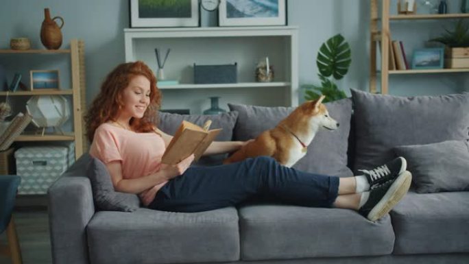 微笑的年轻女士在家沙发上看书，抚摸可爱的宠物狗