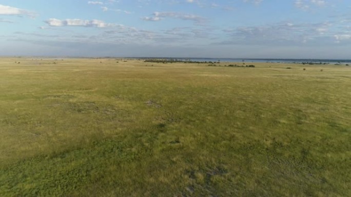 博茨瓦纳Makgadikgadi草原的4k空中飞行