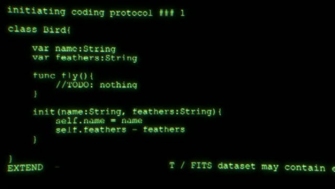 计算机屏幕上的软件开发人员编程代码