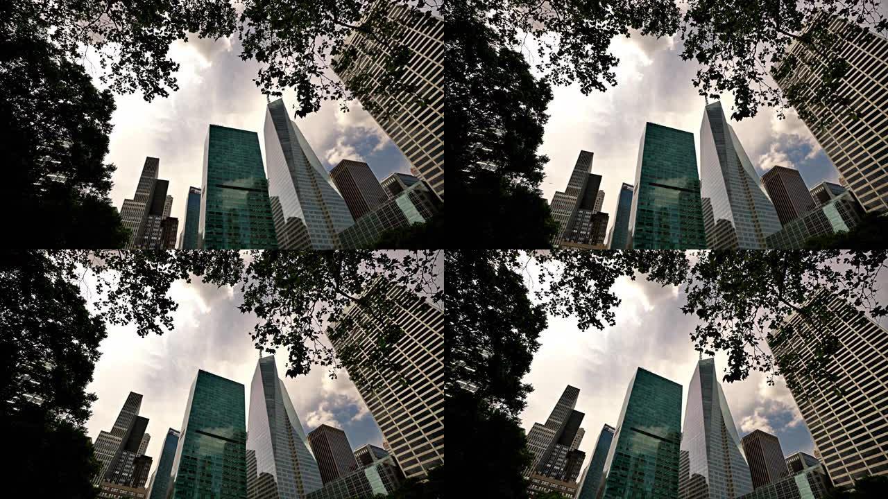 天际线。透过树叶升起/仰望金融大楼。概念。现代与自然