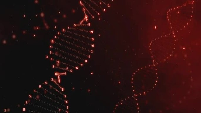 来自十六进制代码的DNA旋转的无缝动画