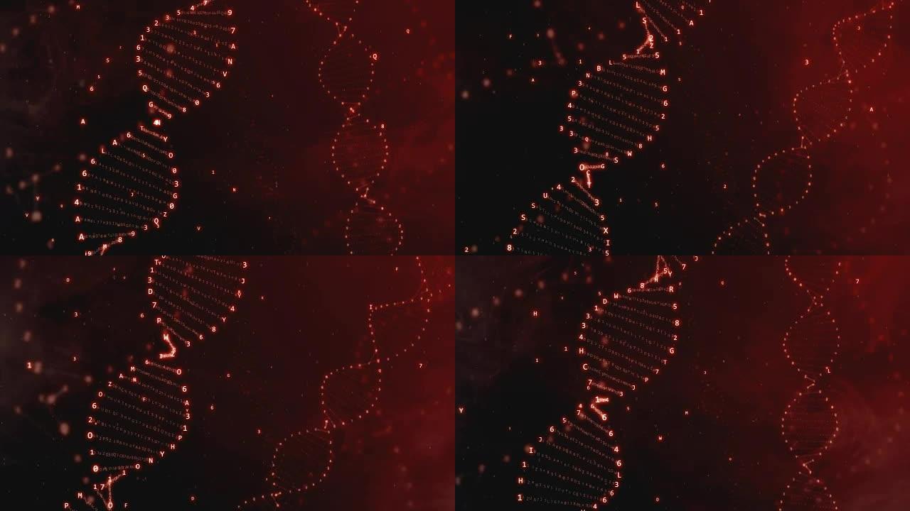 来自十六进制代码的DNA旋转的无缝动画