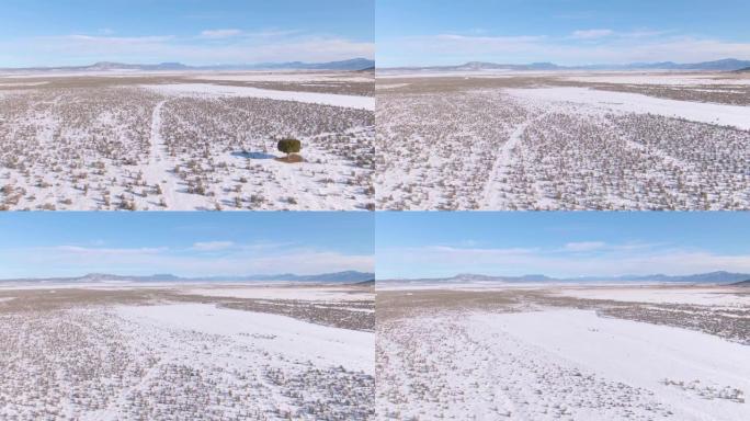 空中: 飞越犹他州的白雪皑皑的平原，向远处的高速公路飞去。