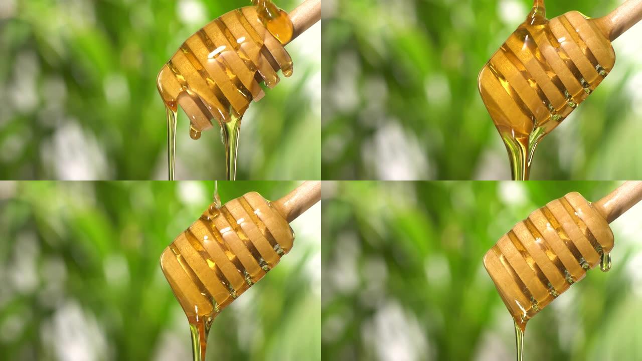(实时) 蜂蜜从带有复制空间的木制蜂蜜铲斗中流出