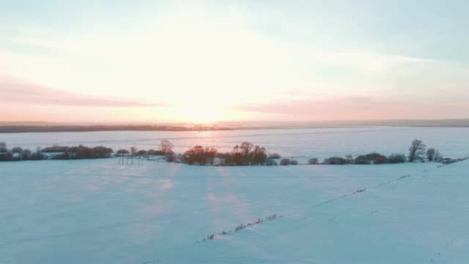 4k鸟瞰图白雪覆盖的树木河无人机镜头风景冬季自然美丽晴天