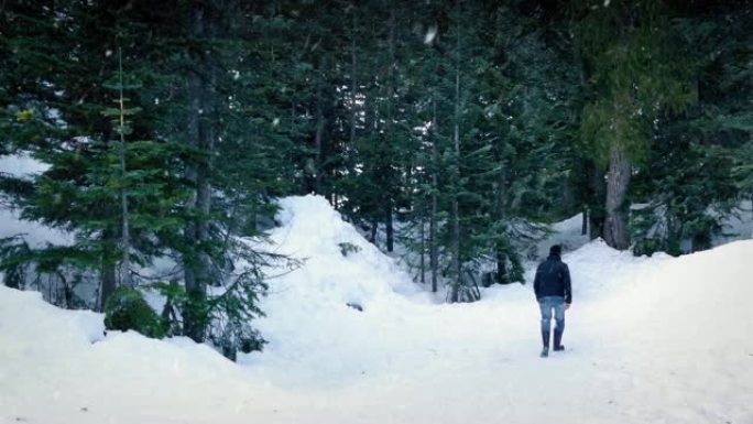男子在降雪中走进树林