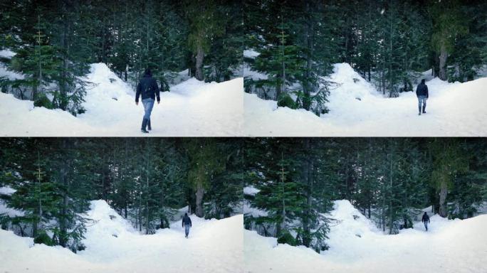 男子在降雪中走进树林