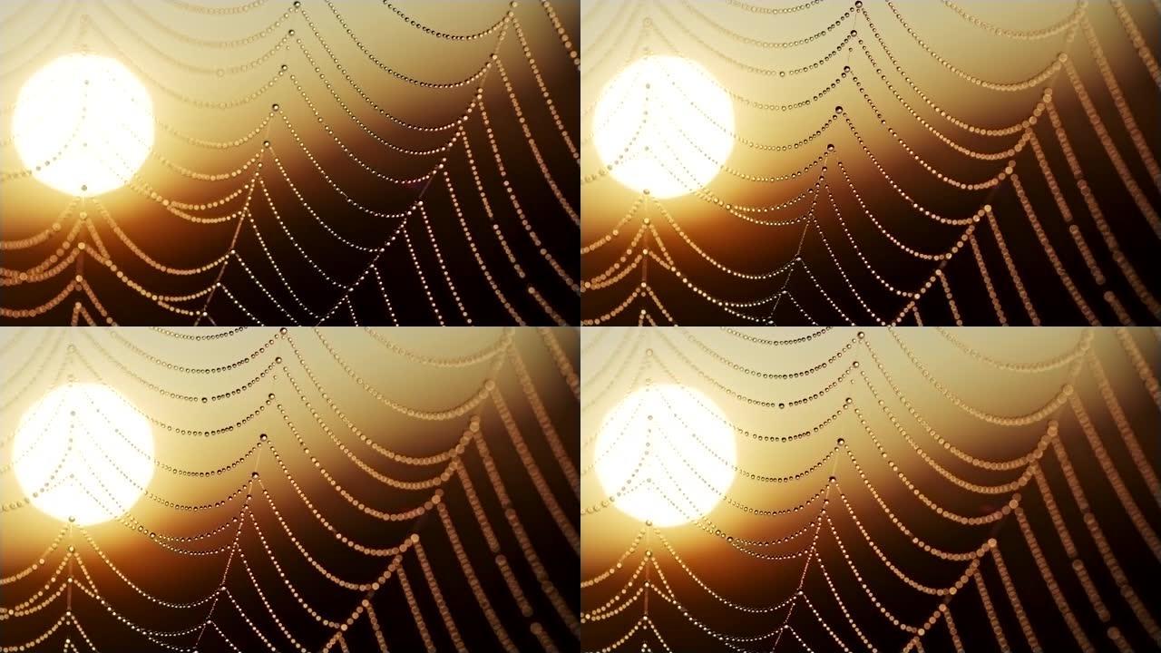 日出时水滴在风中挥舞的蜘蛛网。背景中的朝阳。慢动作镜头
