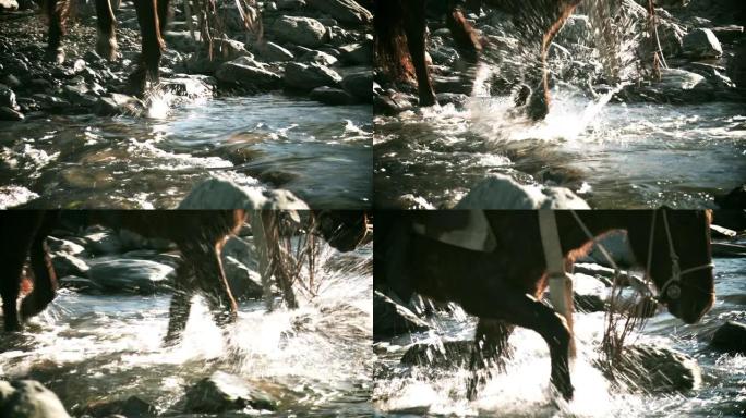 马腿在山上河上溅水。