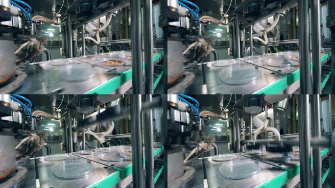 工厂的机器正在用箔片密封面包屑。食品工厂设备。
