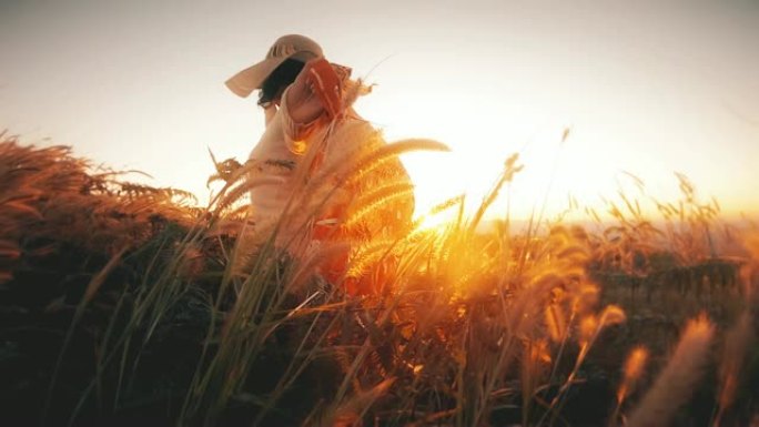 美丽的女人在日落慢动作拍摄的草地上放松
