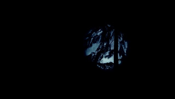 大风之夜树后的月亮