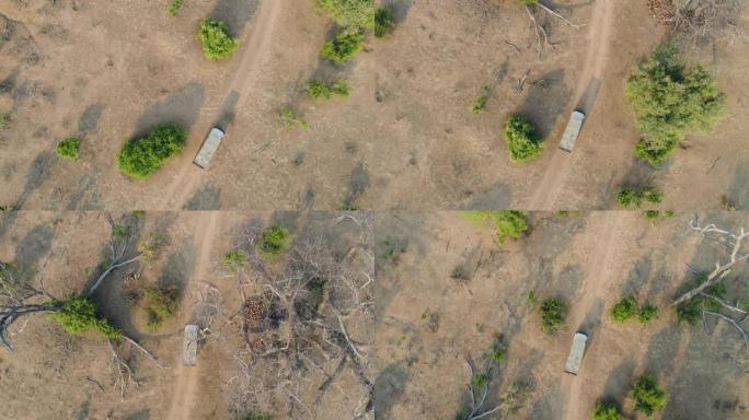津巴布韦戈纳雷州国家公园，一辆4x4野生动物园车辆在丛林中行驶，有美丽的大猴面包树