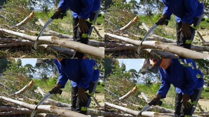 伐木工人用手锯4k切割树枝