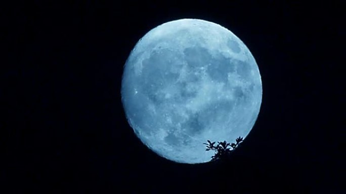 月亮在晚上移动月黑风高