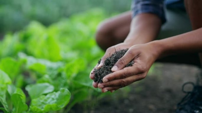 好土壤等于好作物乡村振兴农业生产农业农村