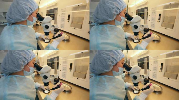 医院工作人员在处理样本时使用显微镜。