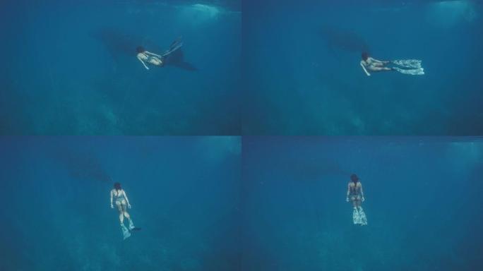 自由潜水者妇女在海底与座头鲸一起滑行