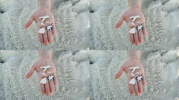 女性手持贝壳。海滩假日