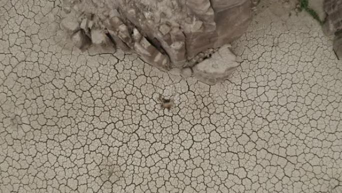 4k空中缩小一只死于口渴的羚羊，躺在因气候变化和全球变暖造成的干旱而干dried的大坝破裂的泥地板上