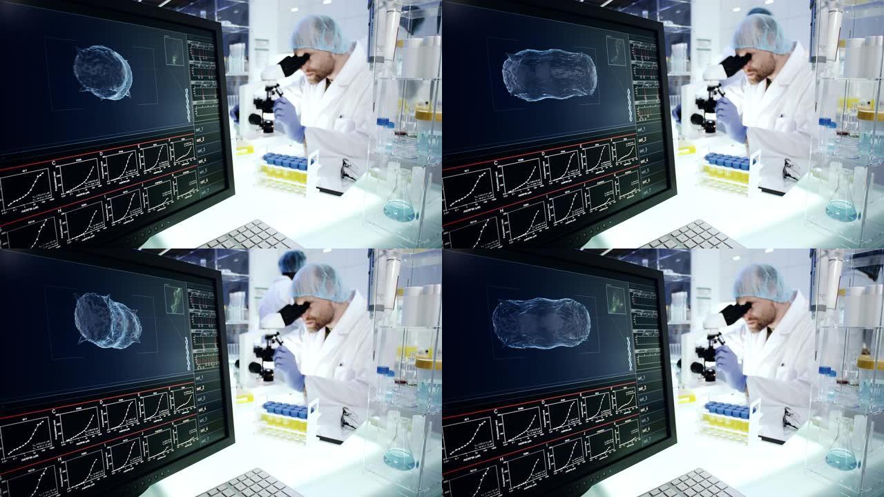 实验室研究科学家。电脑屏幕上的水蚤