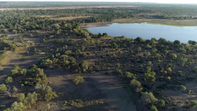 空中飞越津巴布韦gonarrezhou国家公园的湿地区域