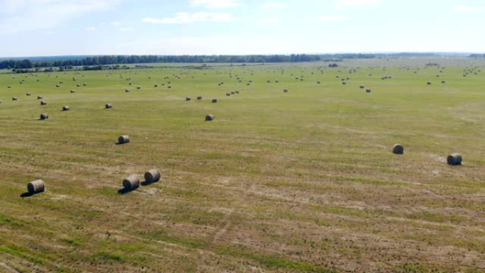 广阔的田野上有很多干草堆，俯视图。
