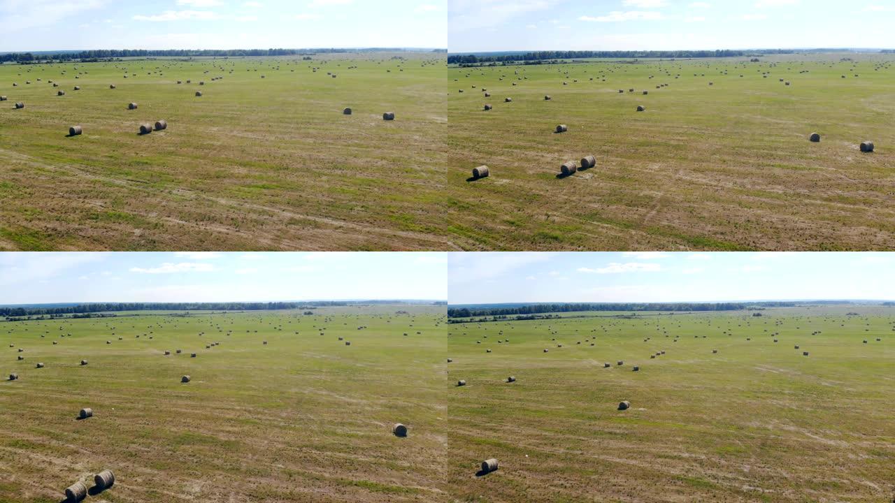 广阔的田野上有很多干草堆，俯视图。