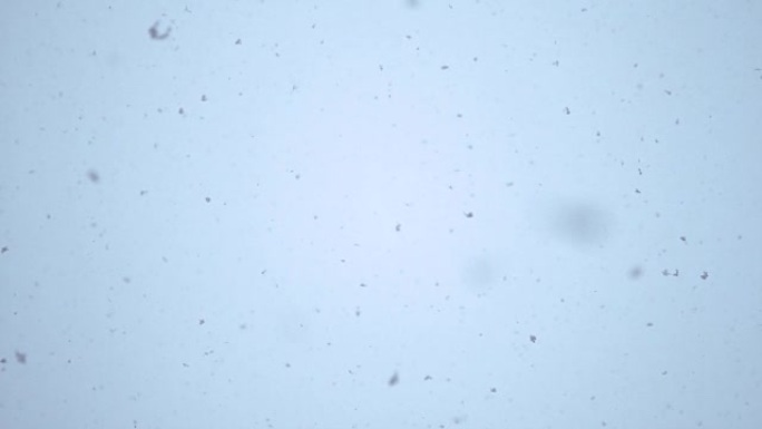 慢动作使白色薄片掉落到相机上。冬天下雪