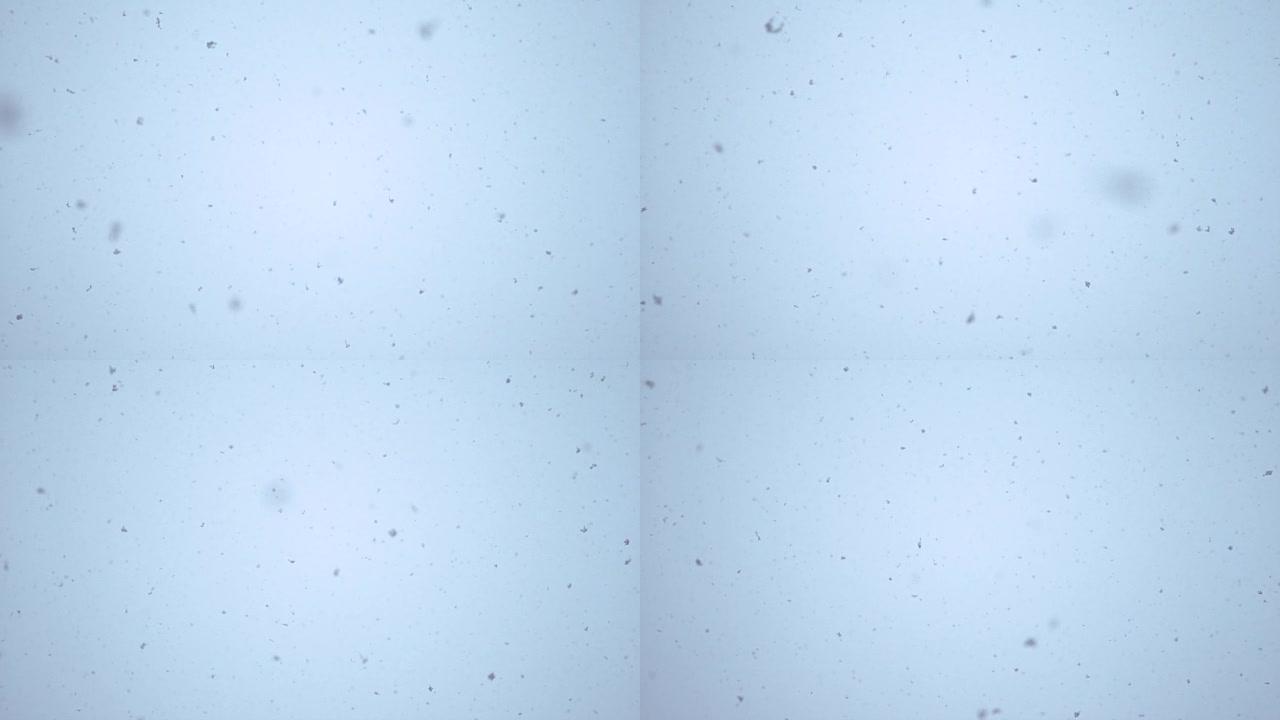 慢动作使白色薄片掉落到相机上。冬天下雪