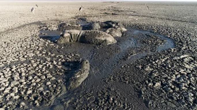 一只雌性河马的空中特写镜头，在博茨瓦纳奥卡万戈三角洲因干旱和气候变化而干涸的恩加米湖剩余的浓泥中看着