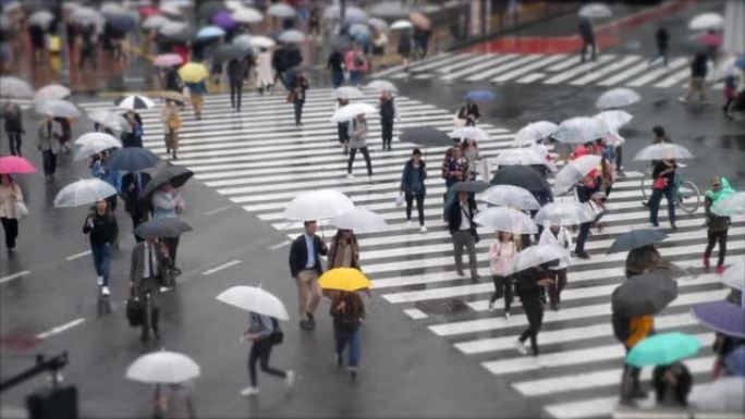 雨中穿越街道，涩谷日本