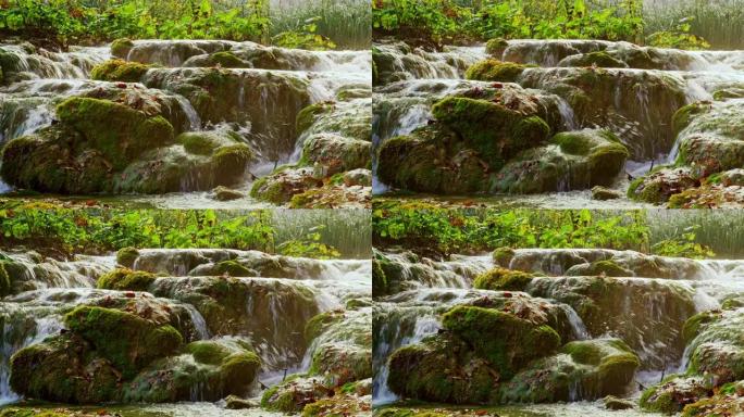 十六湖国家公园的DS小瀑布