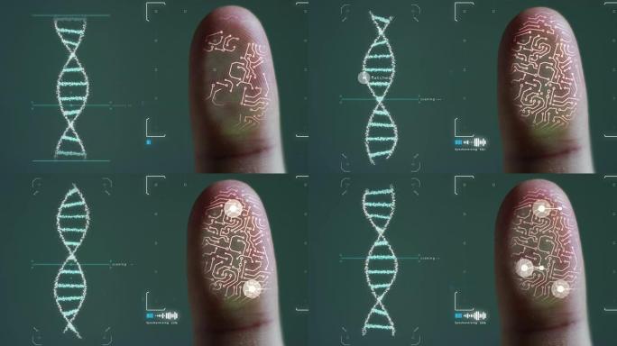 生物指纹扫描仪的未来数字处理。