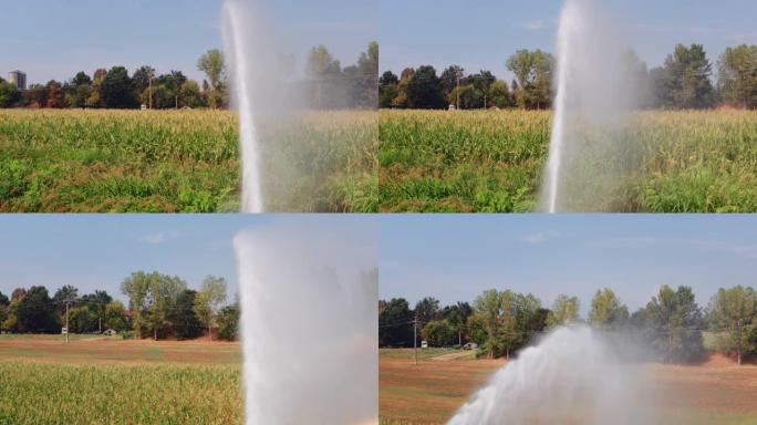 在一个阳光明媚的日子里，农业灌溉系统在一个农村农田的玉米地里喷洒水的慢镜头