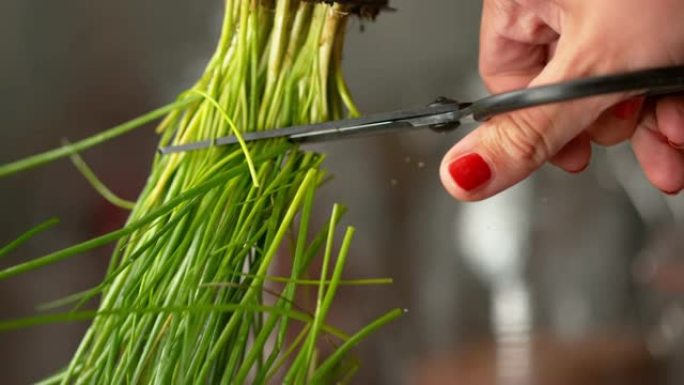 慢动作，微距: 红指甲的女人用锋利的剪刀剪细香葱。