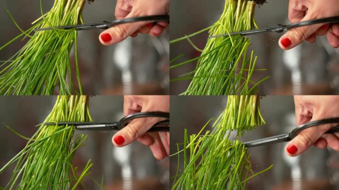 慢动作，微距: 红指甲的女人用锋利的剪刀剪细香葱。