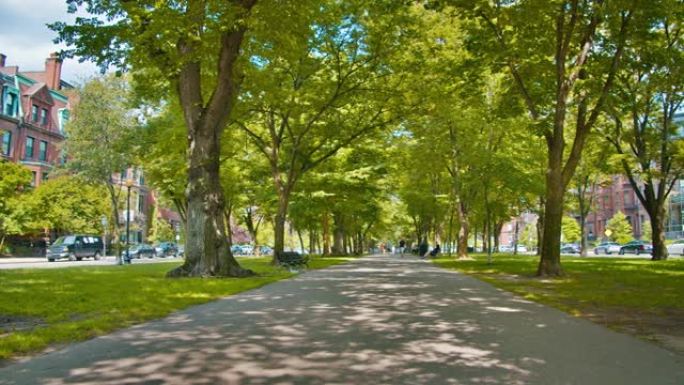 联邦大道，波士顿，公园。的城市。老房子。树。大自然。