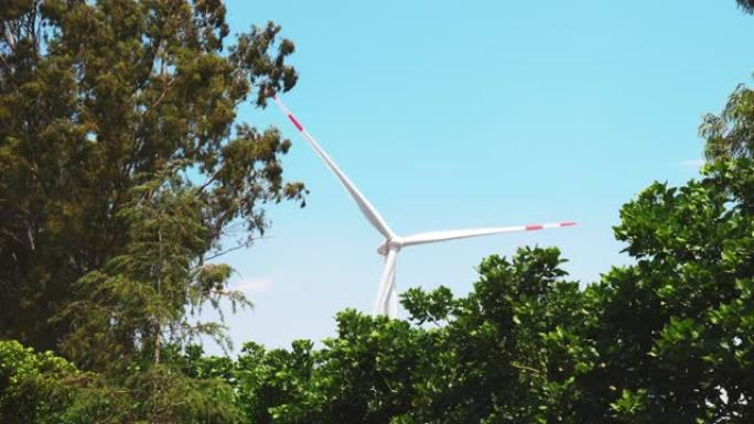 风力涡轮机产生清洁电力
树后，4k