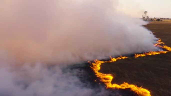 博茨瓦纳干旱和气候变化造成的奥卡万戈三角洲草地大火的烟雾近距离空中飞行