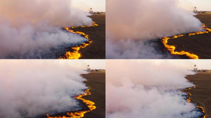 博茨瓦纳干旱和气候变化造成的奥卡万戈三角洲草地大火的烟雾近距离空中飞行