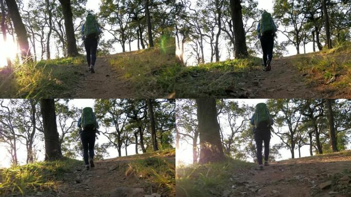 女性徒步旅行者在森林中徒步旅行，慢动作