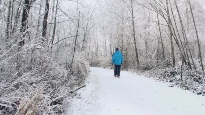 男子在暴风雪中走在树林中