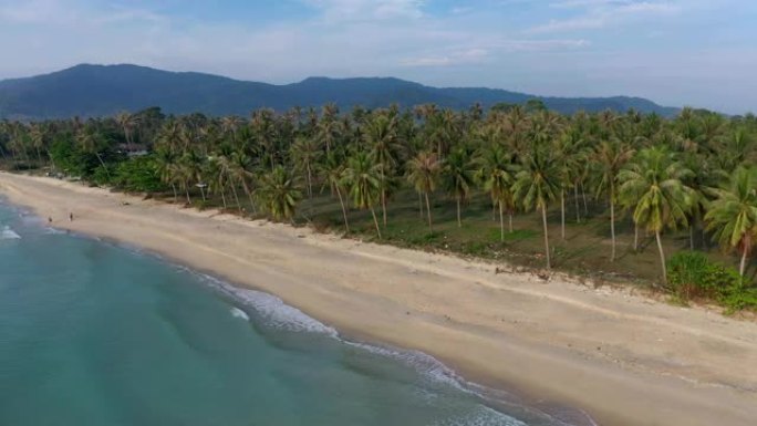 空中无人机在泰国南部那空西塔玛拉特省卡农的美丽海滩和椰子树上飞行