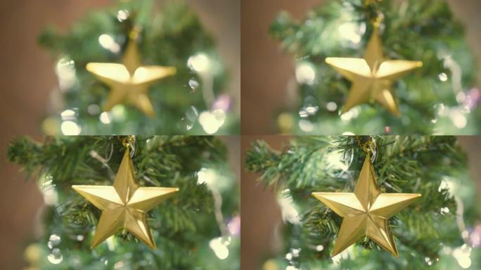 枞树，圣诞装饰西方文化美国新年欧洲过年