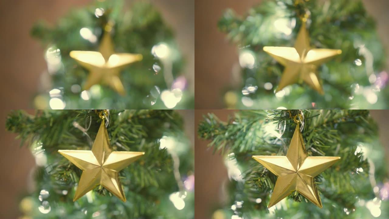 枞树，圣诞装饰西方文化美国新年欧洲过年