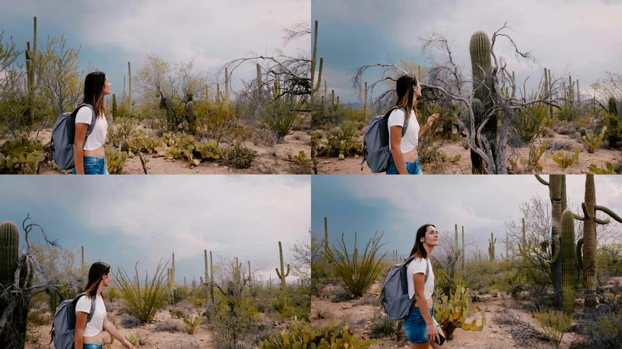 慢动作侧视图美丽的年轻旅游女子沿着美国亚利桑那州令人难以置信的仙人掌沙漠国家公园徒步旅行。