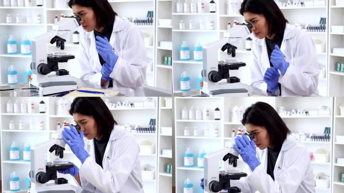 自信的女科学家用显微镜检查样本