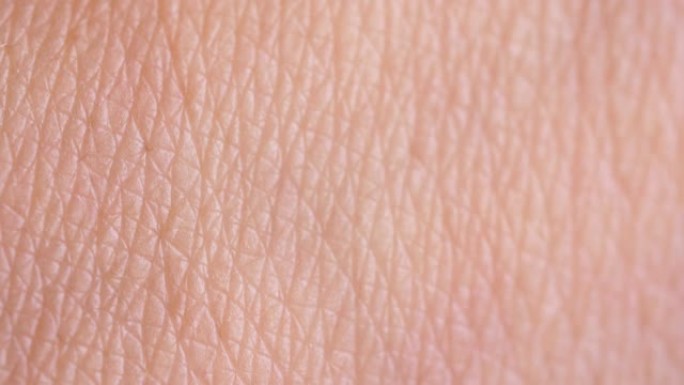 人类皮肤皮肤特写皮肤纹理皮肤细节